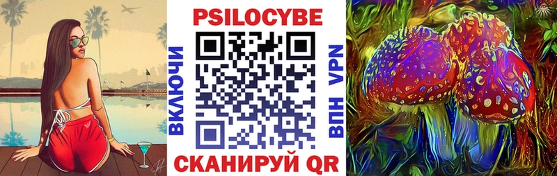 Псилоцибиновые грибы Psilocybine cubensis Анжеро-Судженск