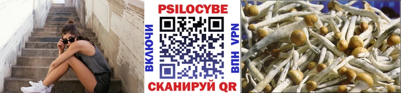 Псилоцибиновые грибы Cubensis  Анжеро-Судженск 